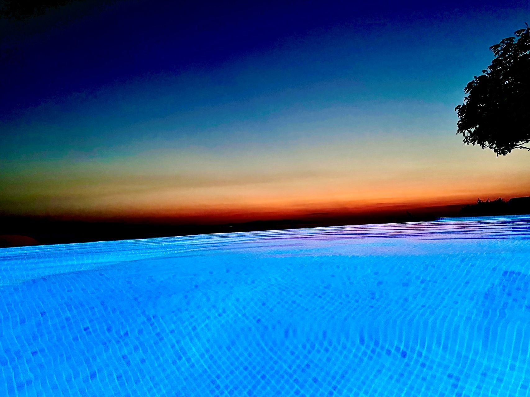Erato